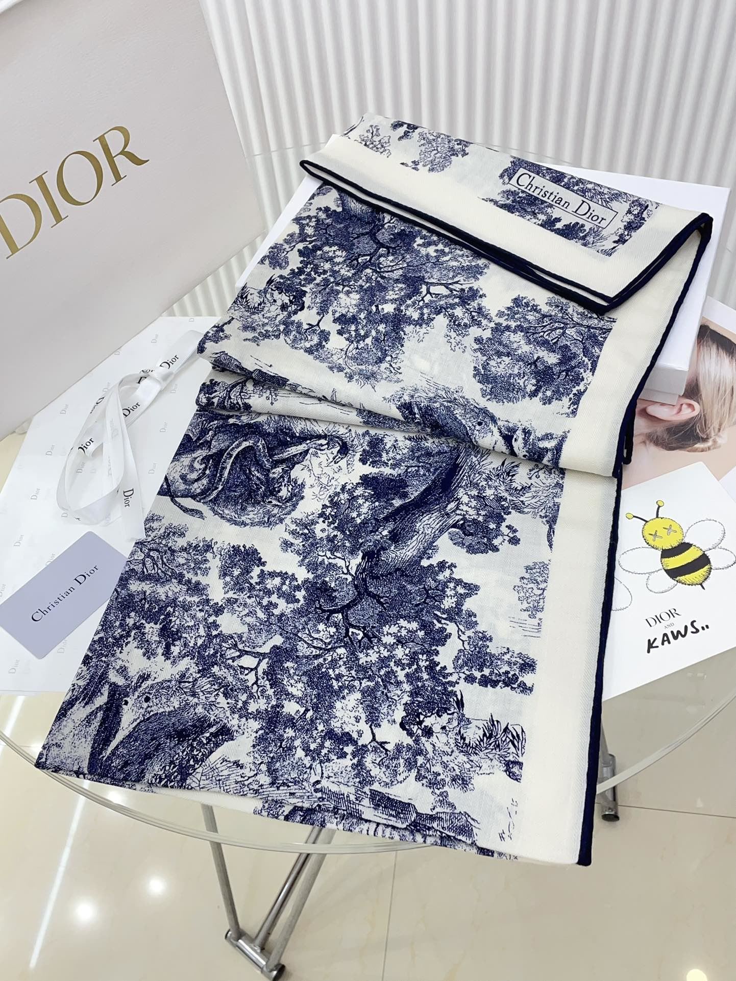 Christian Dior Scarf